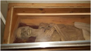 Austrian mummy of the “air-dried chaplain” in his coffin in the church crypt of St. Thomas am Blasenstein, Austria (image: J. Wimmer). Credit: A. G. Nerlich et al., Frontiers in Medicine (2025)