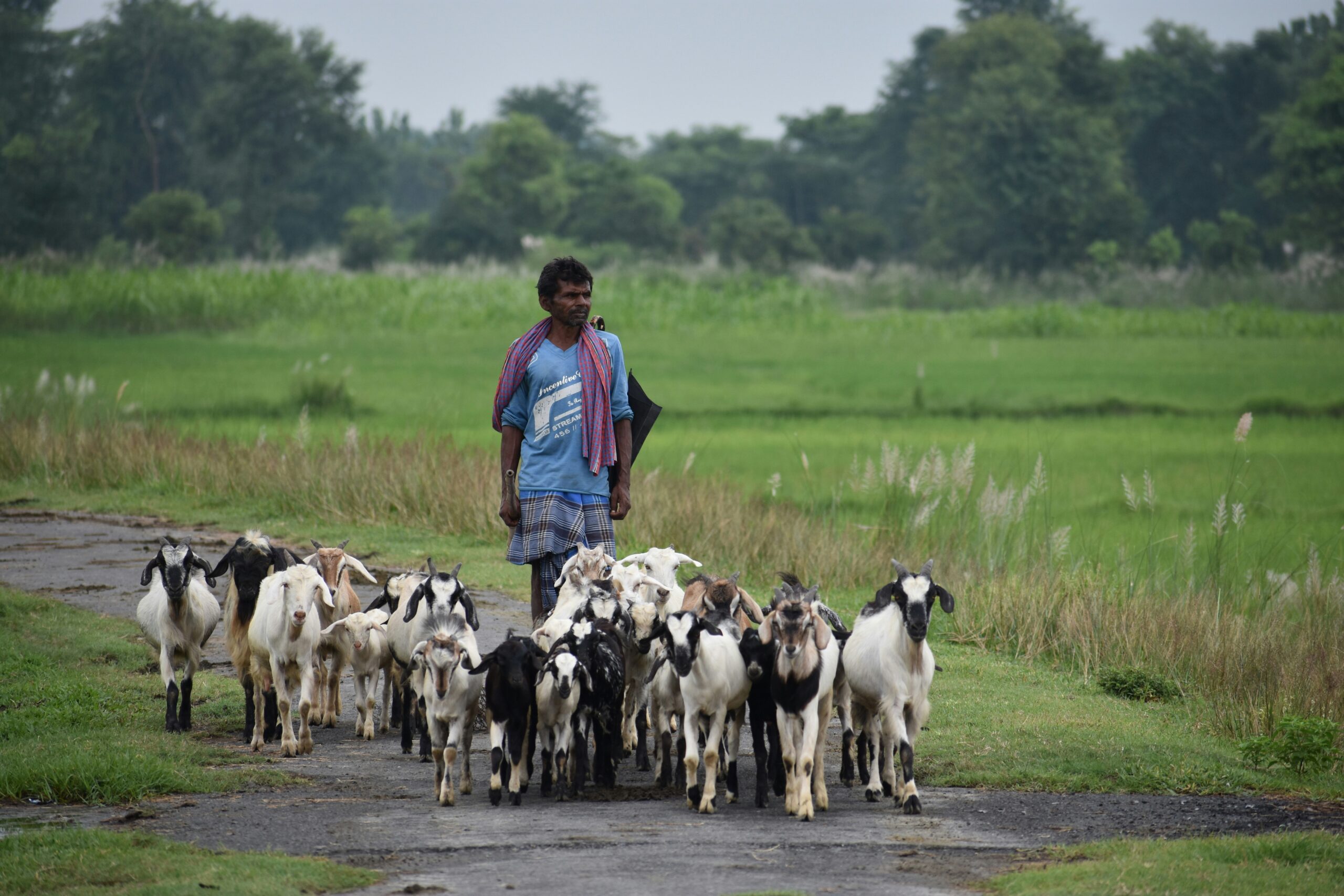 Bihar’s Mukhya Mantri Pratigya Sparks Hope for Job-Hungry Youth